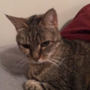 Meet your Posher, Lisa